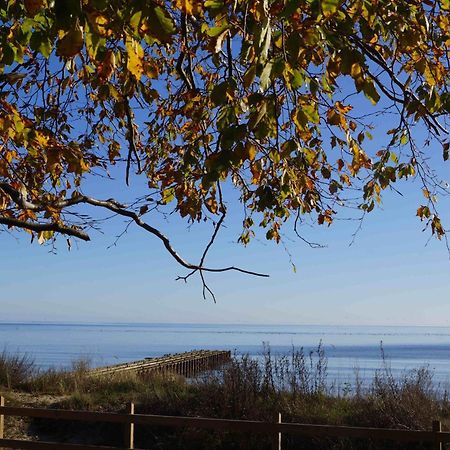 Ystad Camping Dış mekan fotoğraf