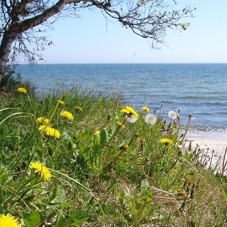 Ystad Camping Dış mekan fotoğraf
