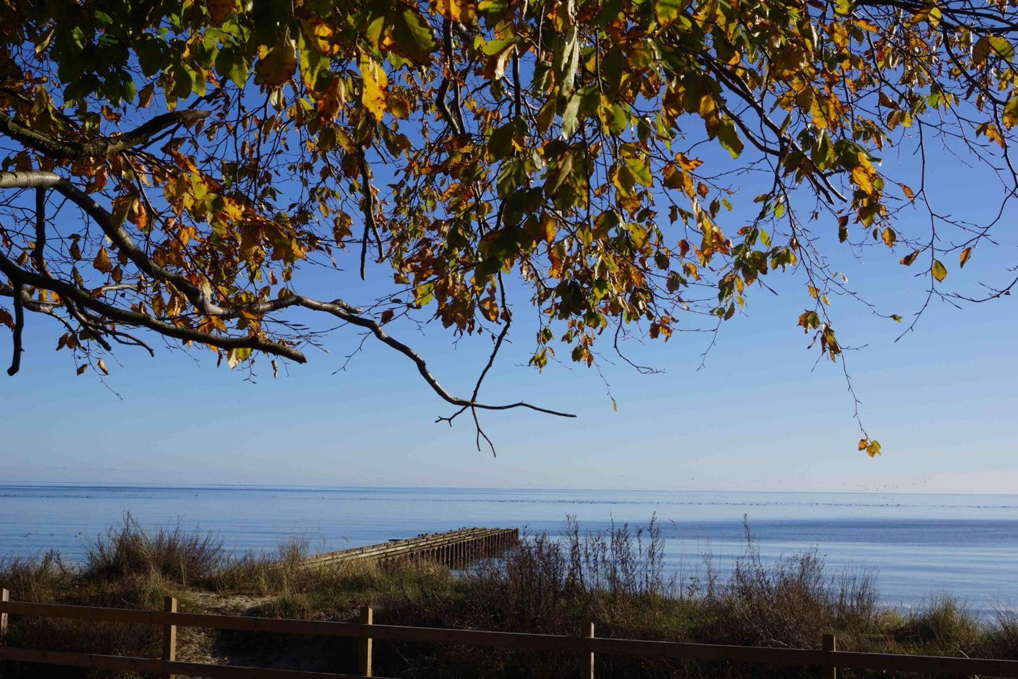 Ystad Camping Dış mekan fotoğraf