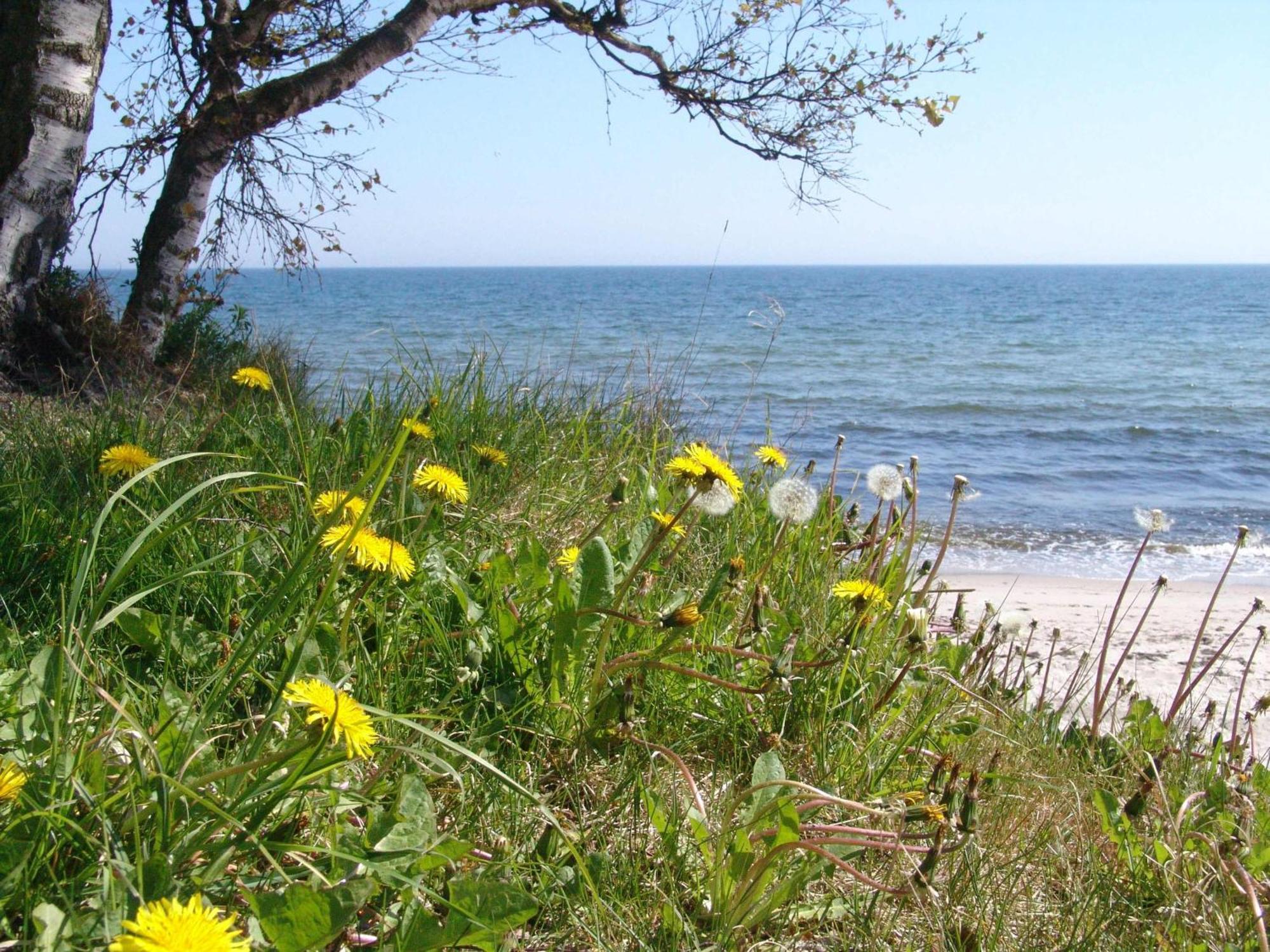 Ystad Camping Dış mekan fotoğraf